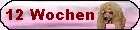 12 Wochen alt
