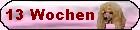 13 Wochen alt