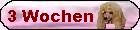 Drei Wochen alt