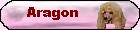 Aragon von der Zuckerschnute
