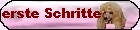Erste Schritte