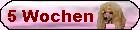 Fnf Wochen alt