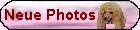 Neue Photos