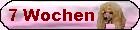 Sieben Wochen alt