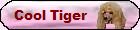 Cool Tiger