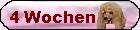Vier Wochen alt
