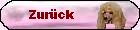 Zurck